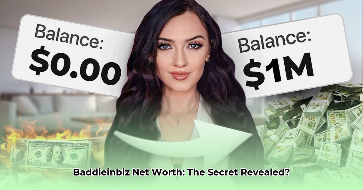 baddieinbiz-net-worth